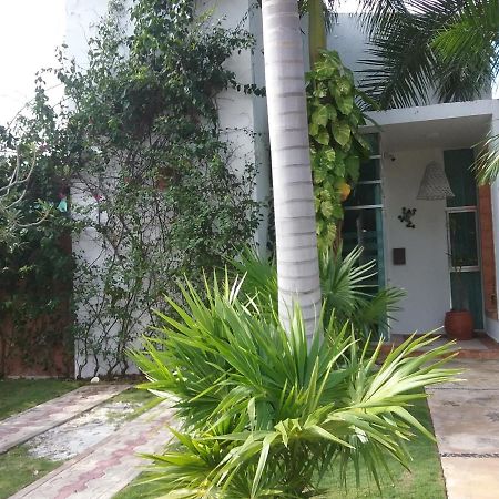 Casa Rioja Playacar Bed & Breakfast Playa del Carmen Exterior foto